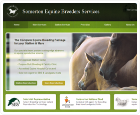 Somerton Equine Breeders Services